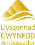 gwynedd gold badge.png