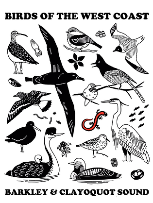 RI - Birds Design BACK.png