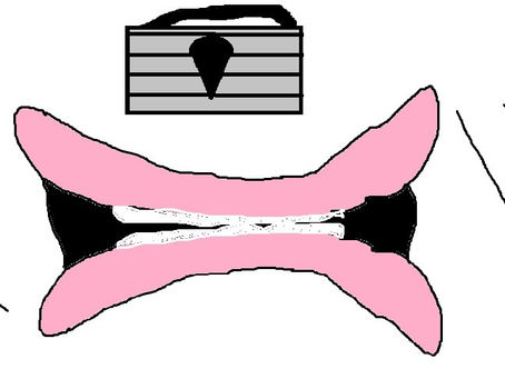 Christian Philosophy: How Christ Fulfills Proverbs 10:19