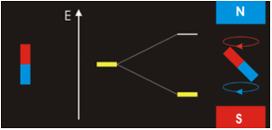 300px-NMR_EPR.gif