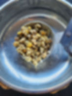 Chamomile,Witch Apothecary, Witchcraft Ingredients, Spell Ingredients, Wicca Spell Ingredient, Ritual Ingredients, Apothecary