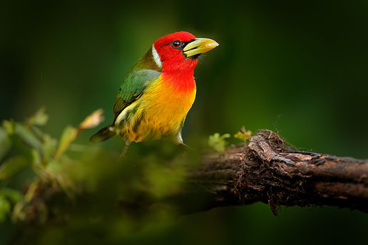 AdobeStock_394923846.jpeg