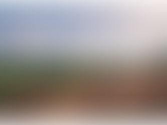 Kootenay Road Trip 2020 Scenes: Hiking in Creston