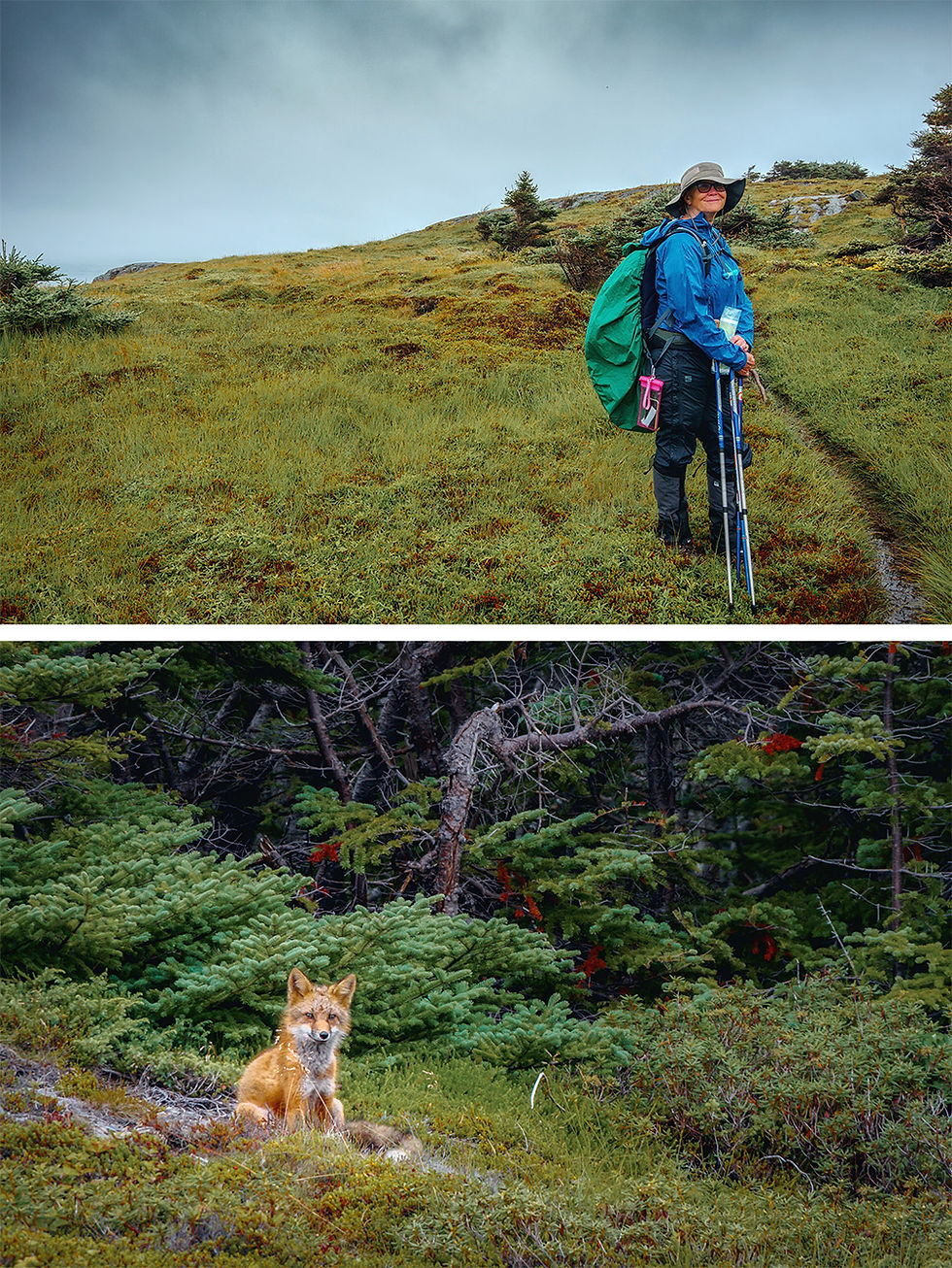 That's me, standing in the rain in Newfoundland and looking at the little fox that came out of the woods behind me. Isn't he cute? Can you see why I painted him?