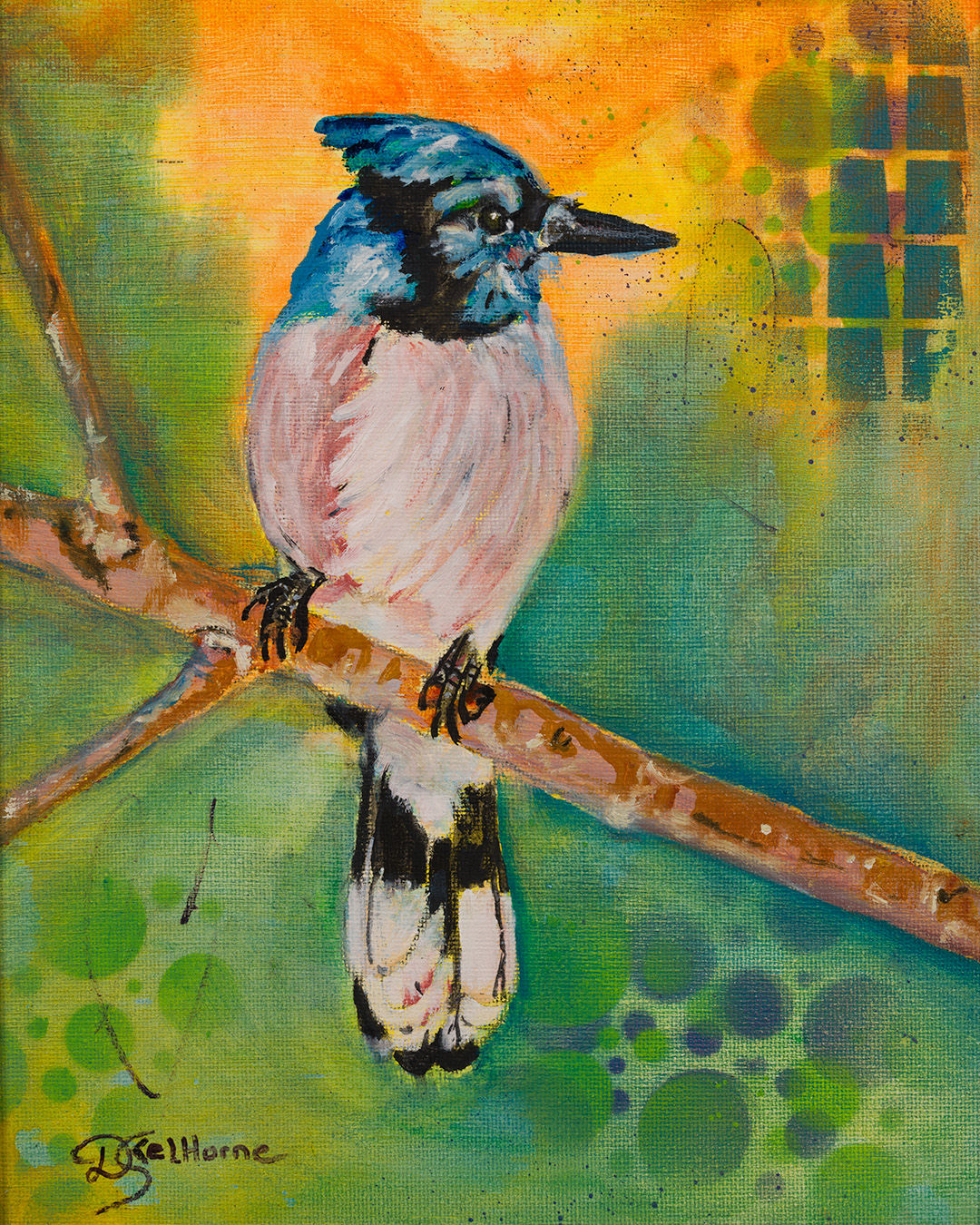 Blue Jay