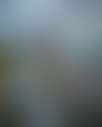 Not exactly how I had planned my day at Gympie Golf Club