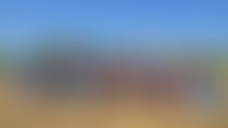 2025.11.8わんわん運動会in長野市犀川ドッグラン