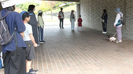 2026.10.4公園で犬と散歩を楽しもう&おはなしの会