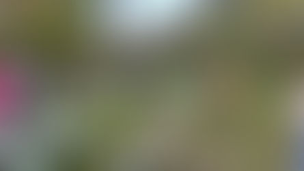 2025.10.18ペット防災キャンプin戸隠キャンプ場