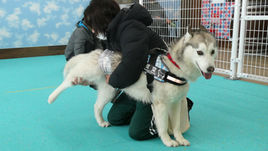 2026.1.25しつけ方勉強会