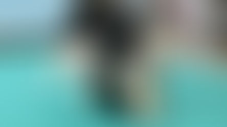 2026.1.25しつけ方勉強会