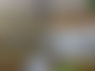 2026.9.1内村コースケ写真展 「犬と歩けば心がつながる~長野市『犬の散歩ができる公園』景~」 もんぜんプラ座3F市民ギャラリー