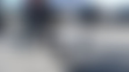 2026.2.22お散歩会