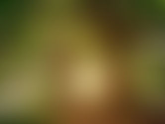 Wenn wir aufhören zu formen – und beginnen zu vertrauen