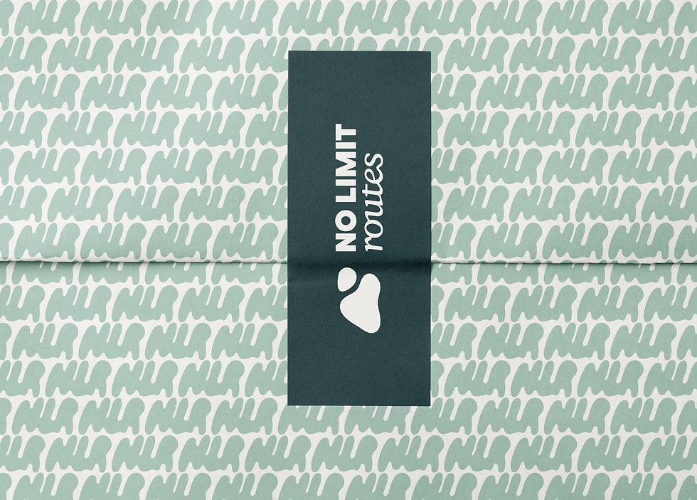 PORTFOLIO - project 11.png