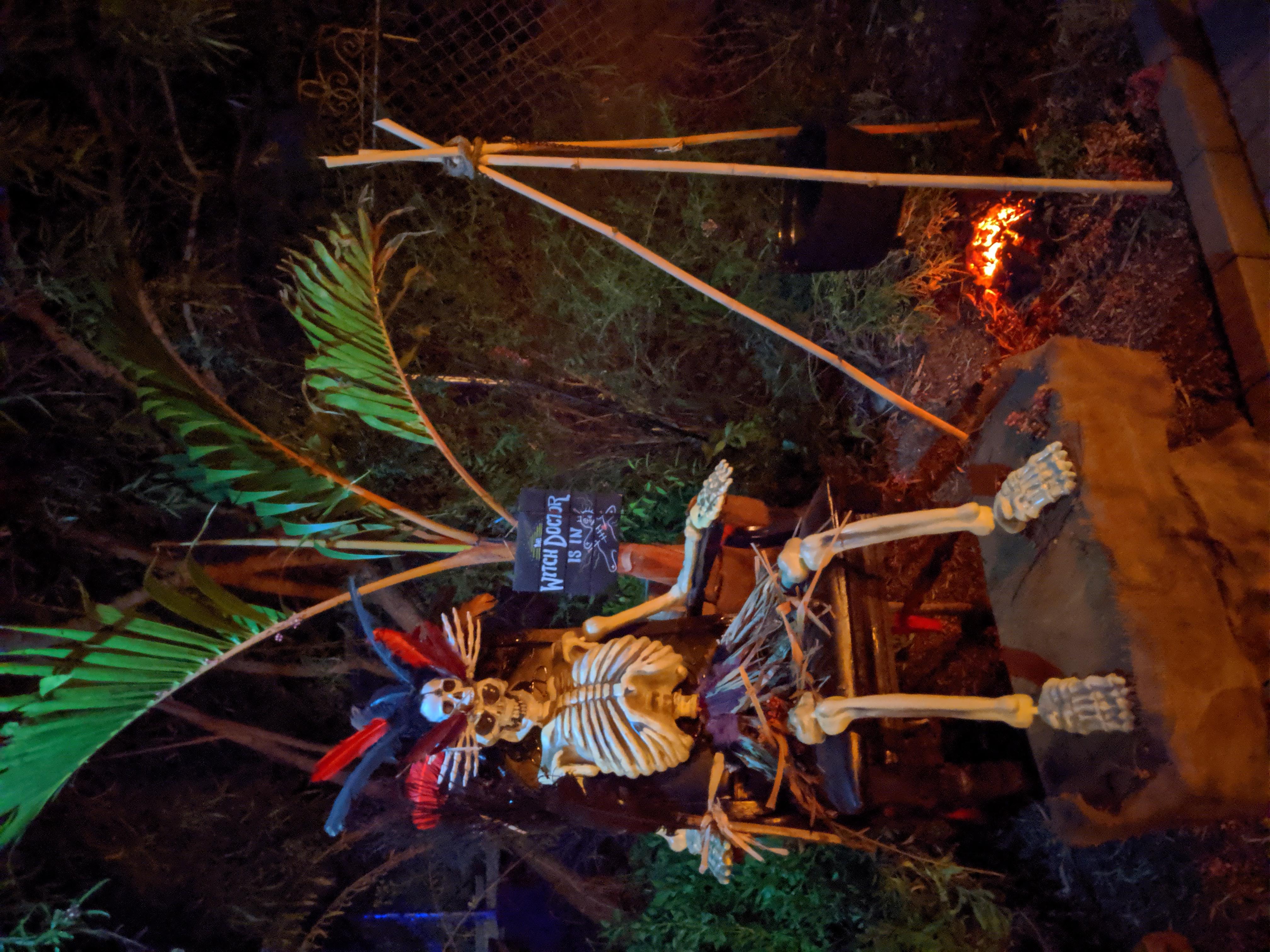 WITCH DOCTOR