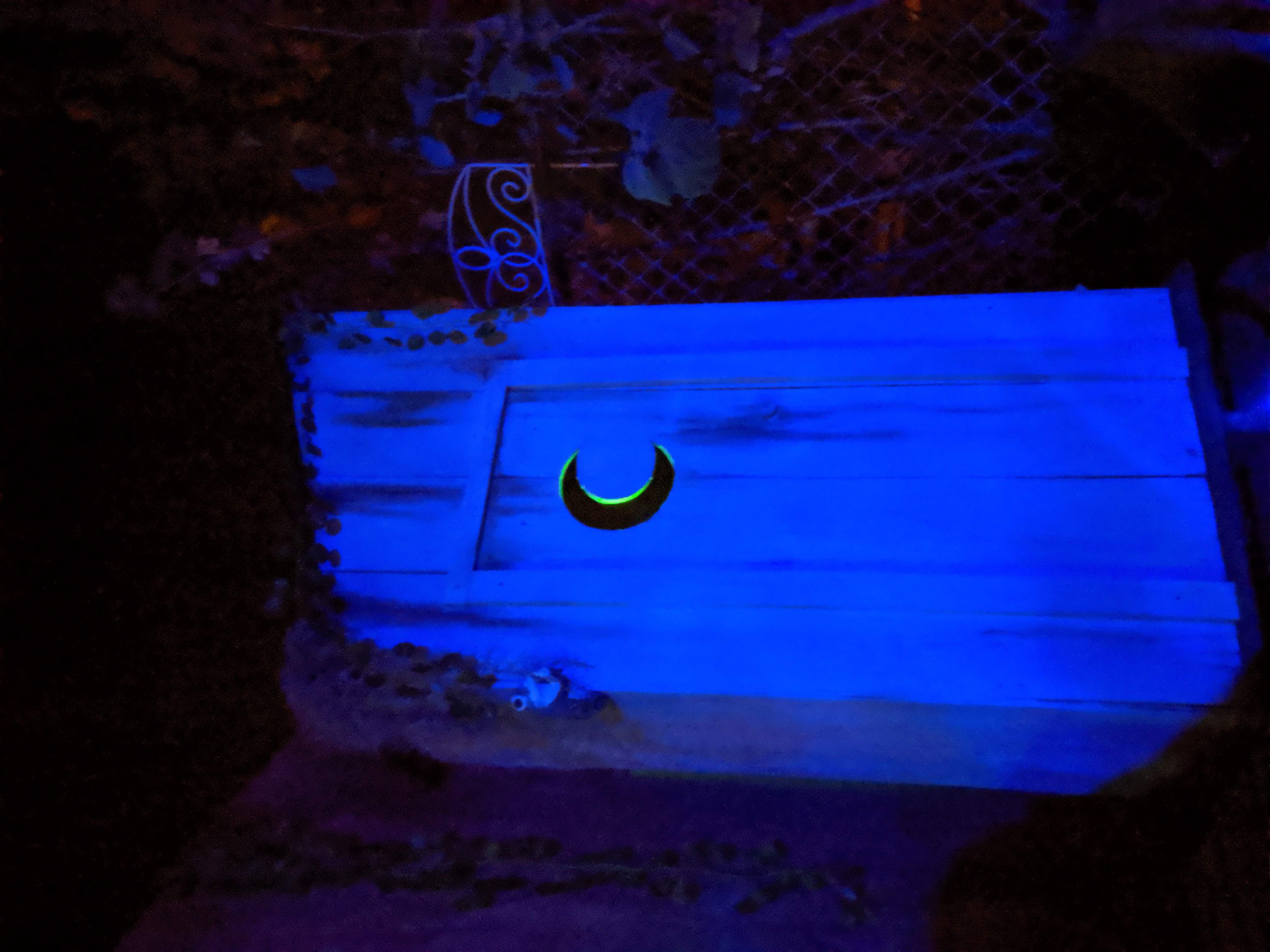 BAYOU OUTHOUSE