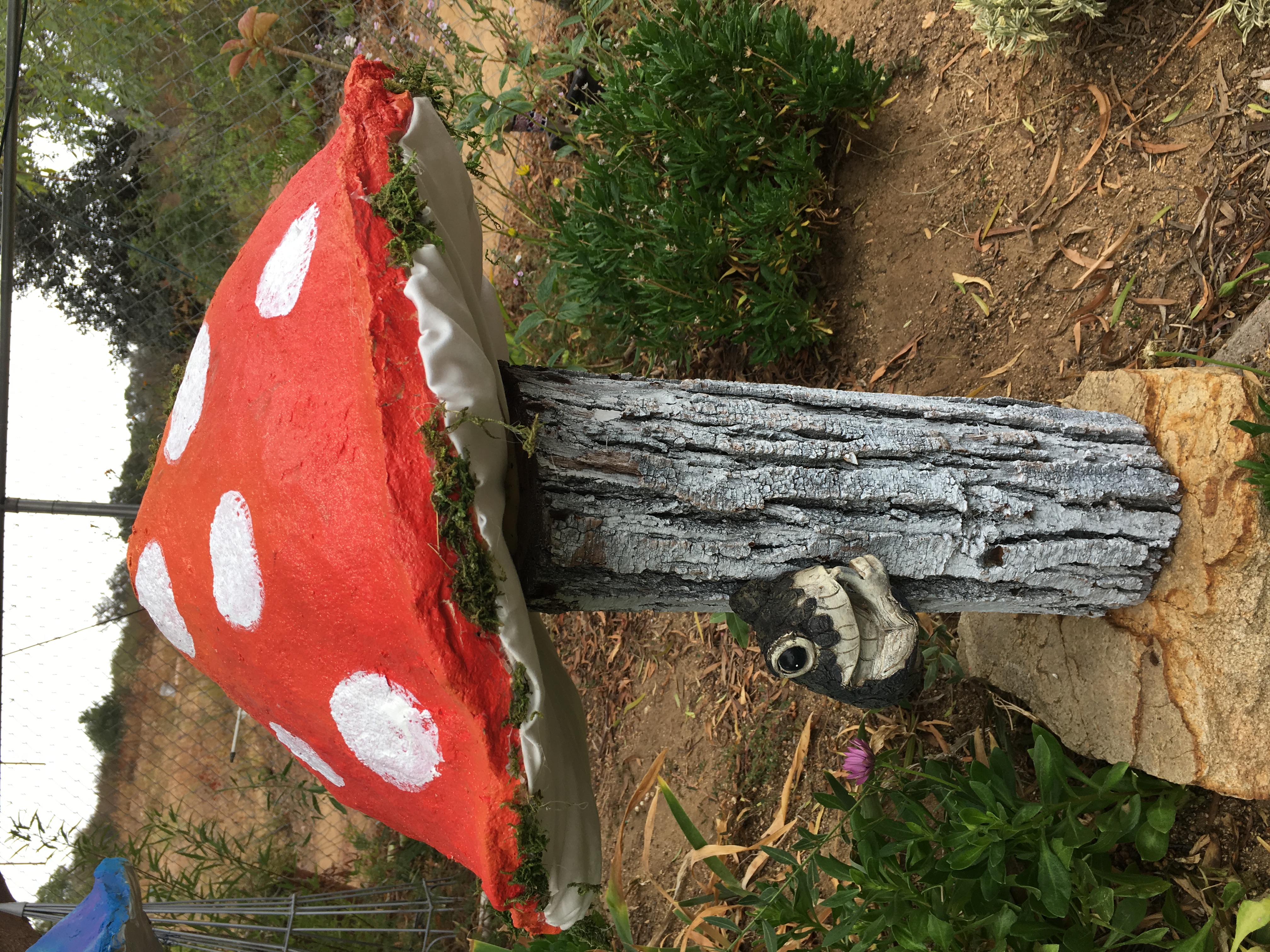 ANOTHER MUSHROOM