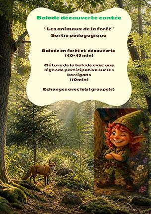 Balade en forêt.png