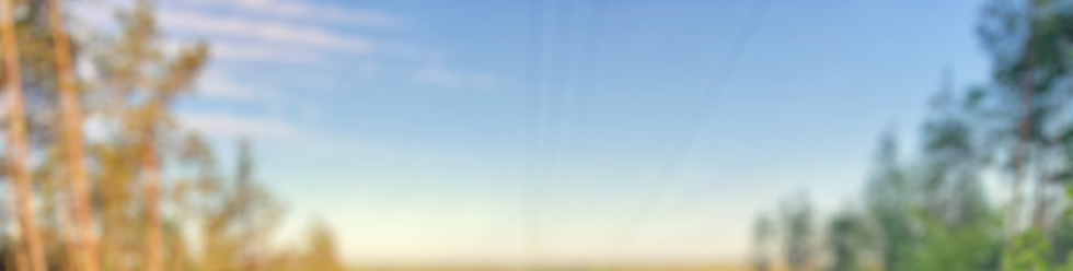 Vytas_Kim_blur-background copy.png