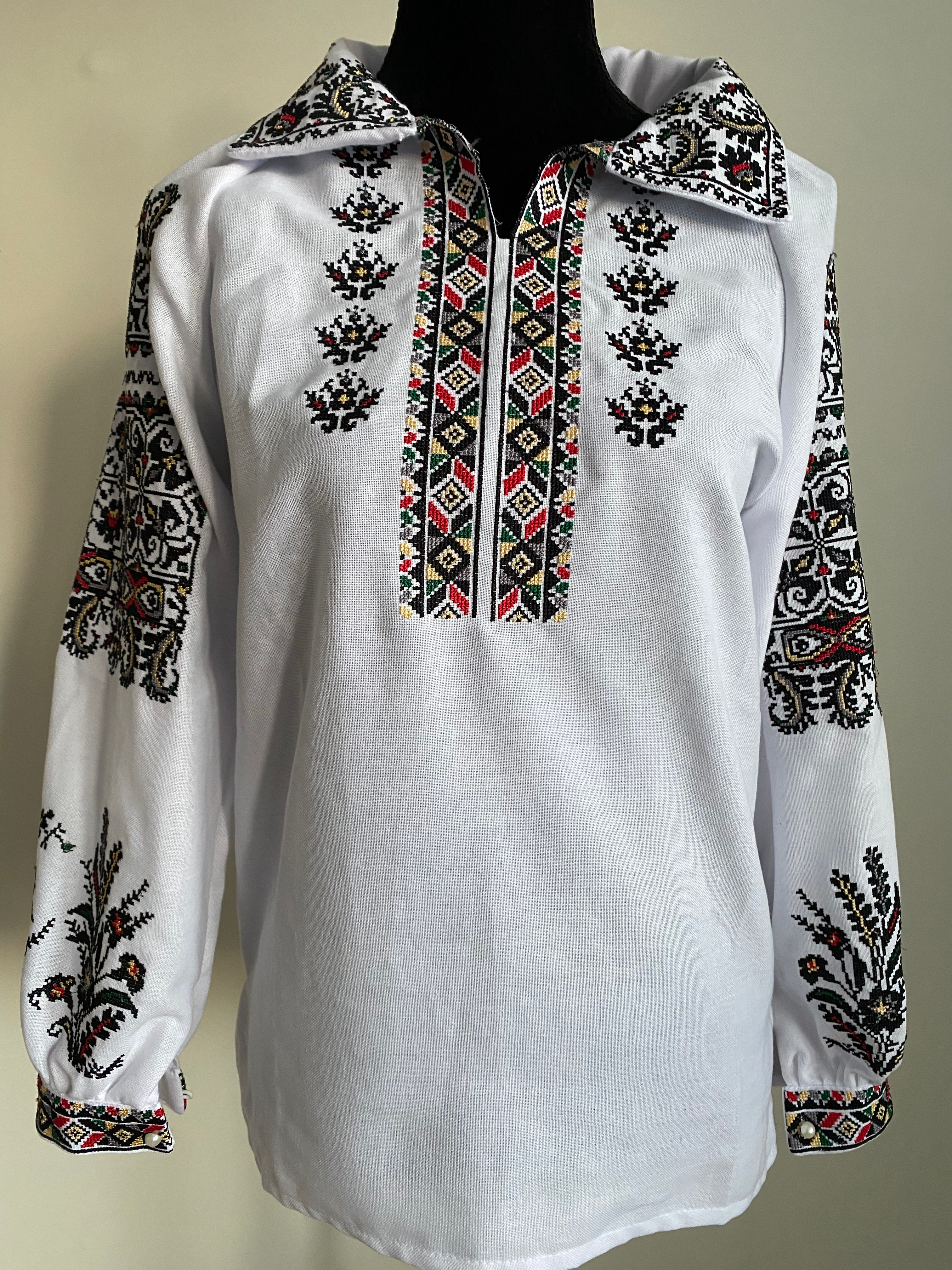 Rich Embroidered Blouse with Collar 