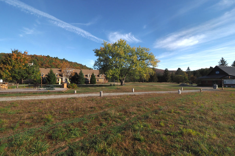Femme à vélo qui se balade dans la forêt de pins du Domaine Saint-Bernard