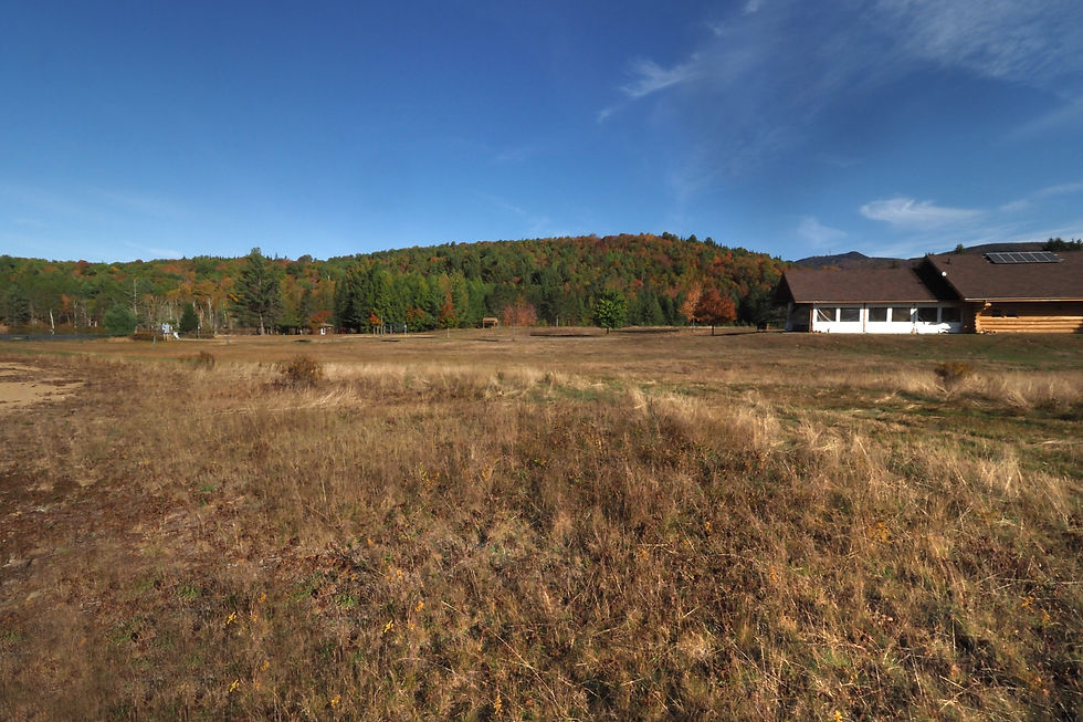 Femme à vélo qui se balade dans la forêt de pins du Domaine Saint-Bernard