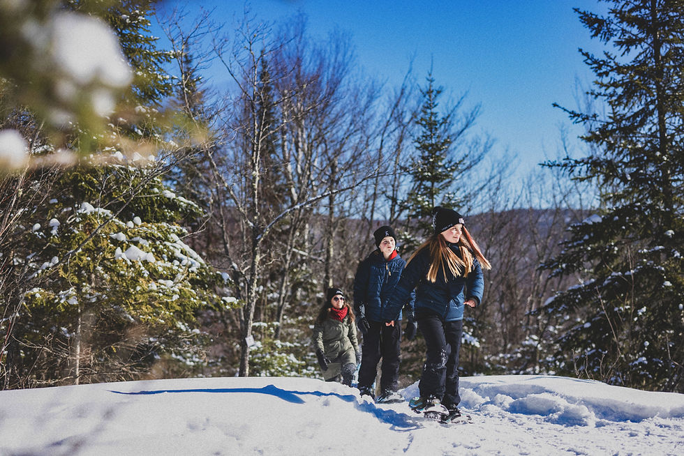 Une famille d'un parent et deux enfants qui marche en raquette dans la forêt enneigée