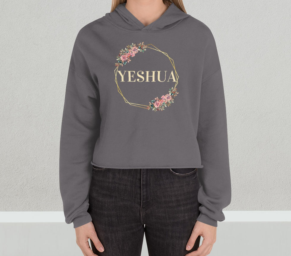 Miniatyrbild: Yeshua Crop Hoodie
