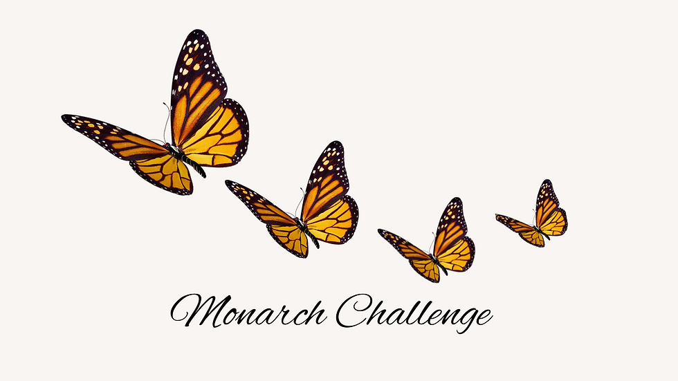 Miniatura: Monarch Challenge