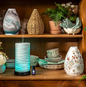 Scentsy Premium Raumdiffuser FrühlingSommer 2025 - Stilisiert.jpeg