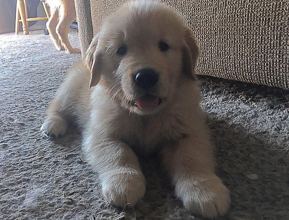 Big boy!