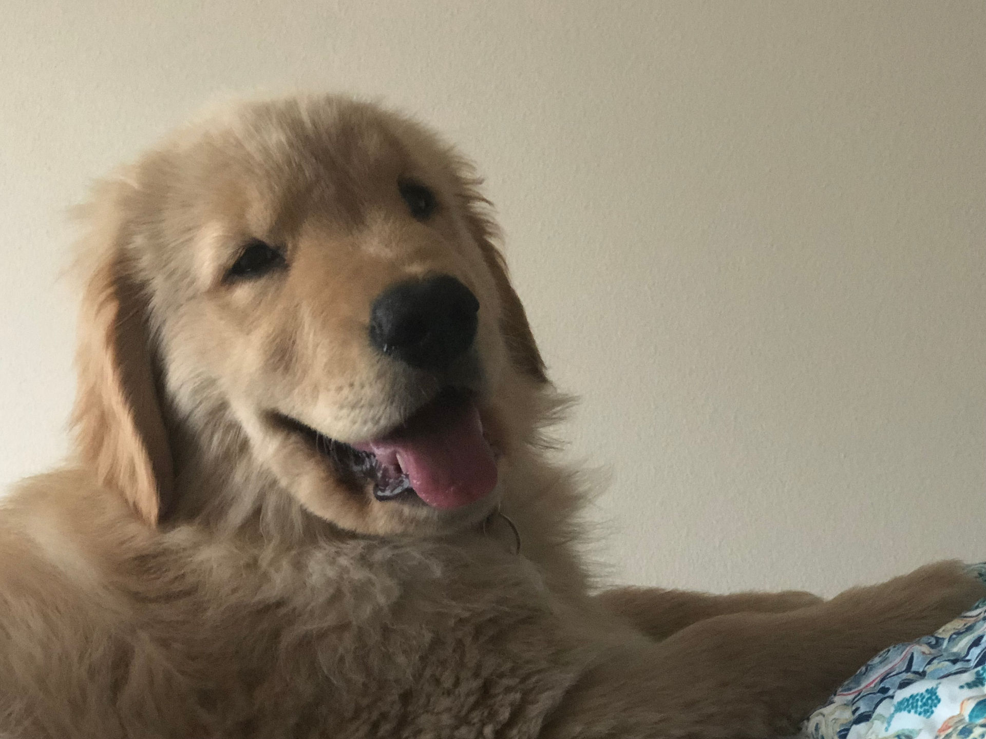 Handsome guy!