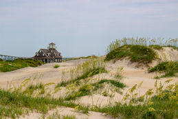 IMG_5227.jpg