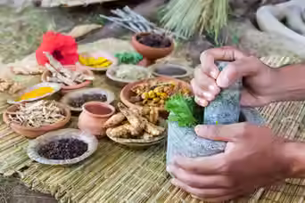 ayurveda medicine