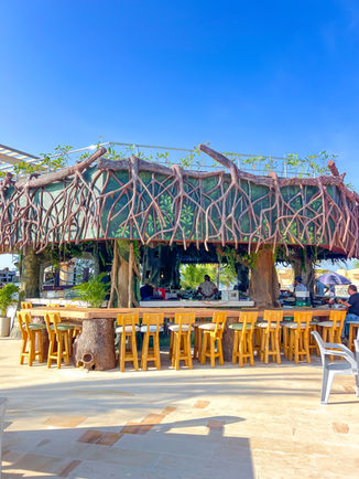 Bar, Piscinas y restaurante