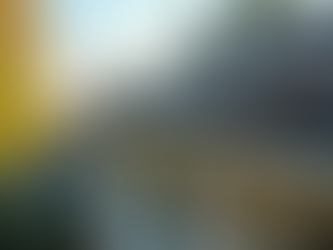 Essential Home Maintenance Tips for Every Season