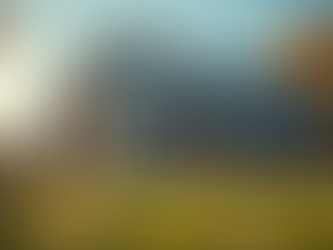 Choosing the Best Reliable Inspection Company for Your Home