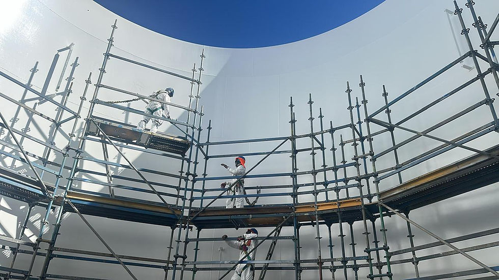 WhatsApp Image 2025-10-26 at 23.16.27.jpeg