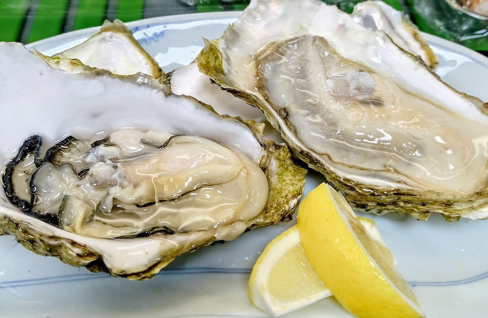 Today's one of OMAKASE course