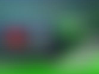 How Changes in Tax Laws Affect Your Individual Income Tax Return