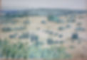 Golan-landscape.jpg