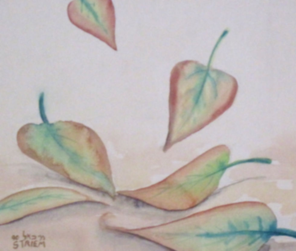 Leaves.jpg