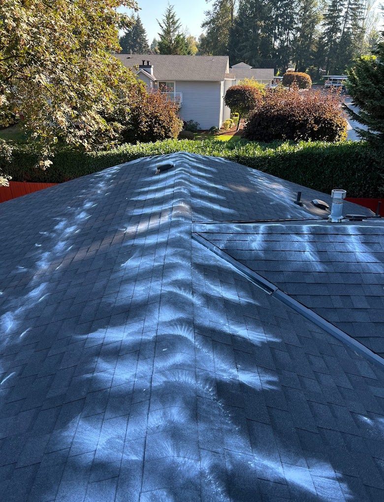 Powder Treatment.jpg