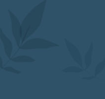 hero_background.jpg