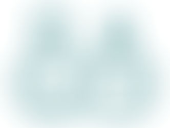 SPISFO logo