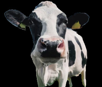 Advancing agriculture, helping you feed a hungry world.