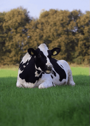Advancing Dairy Technology