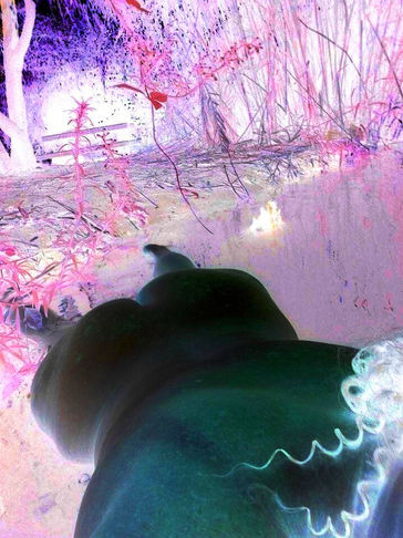 imageedit_378_5070841634-03 חד.jpg