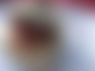 HAVE YOU TRIED A STICKY RICE-CAKE BURGER BEFORE?.....